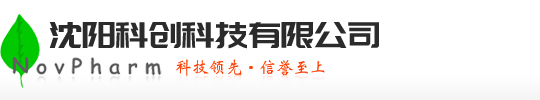 江蘇新思特系統集成有限公司